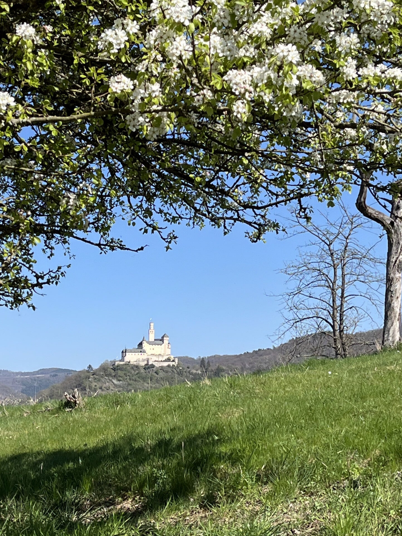 Variante Traumpfad Rheingoldbogen