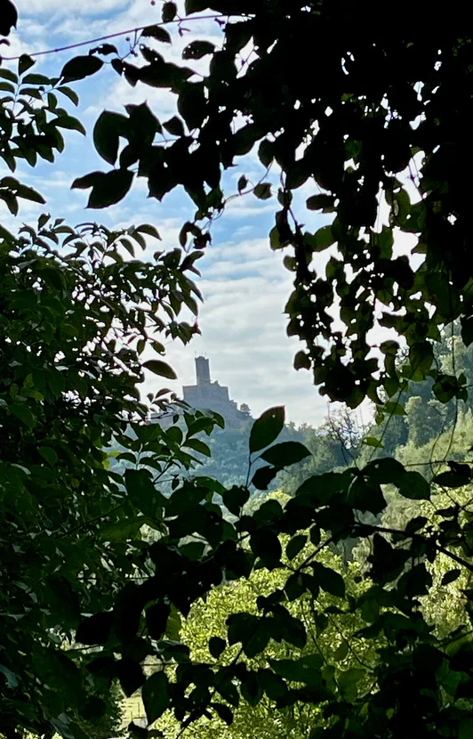 Von der Mosel zum Rhein