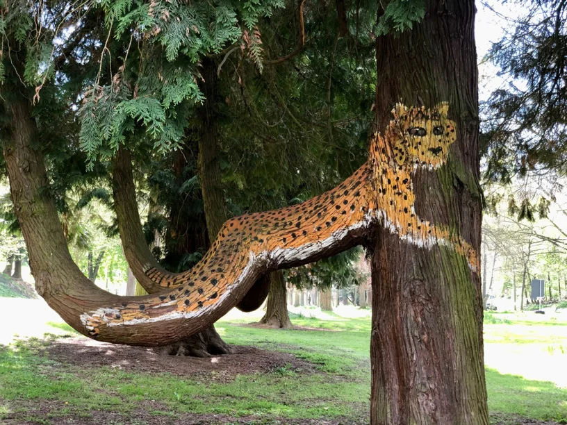 Monatliche Kurparkführungen