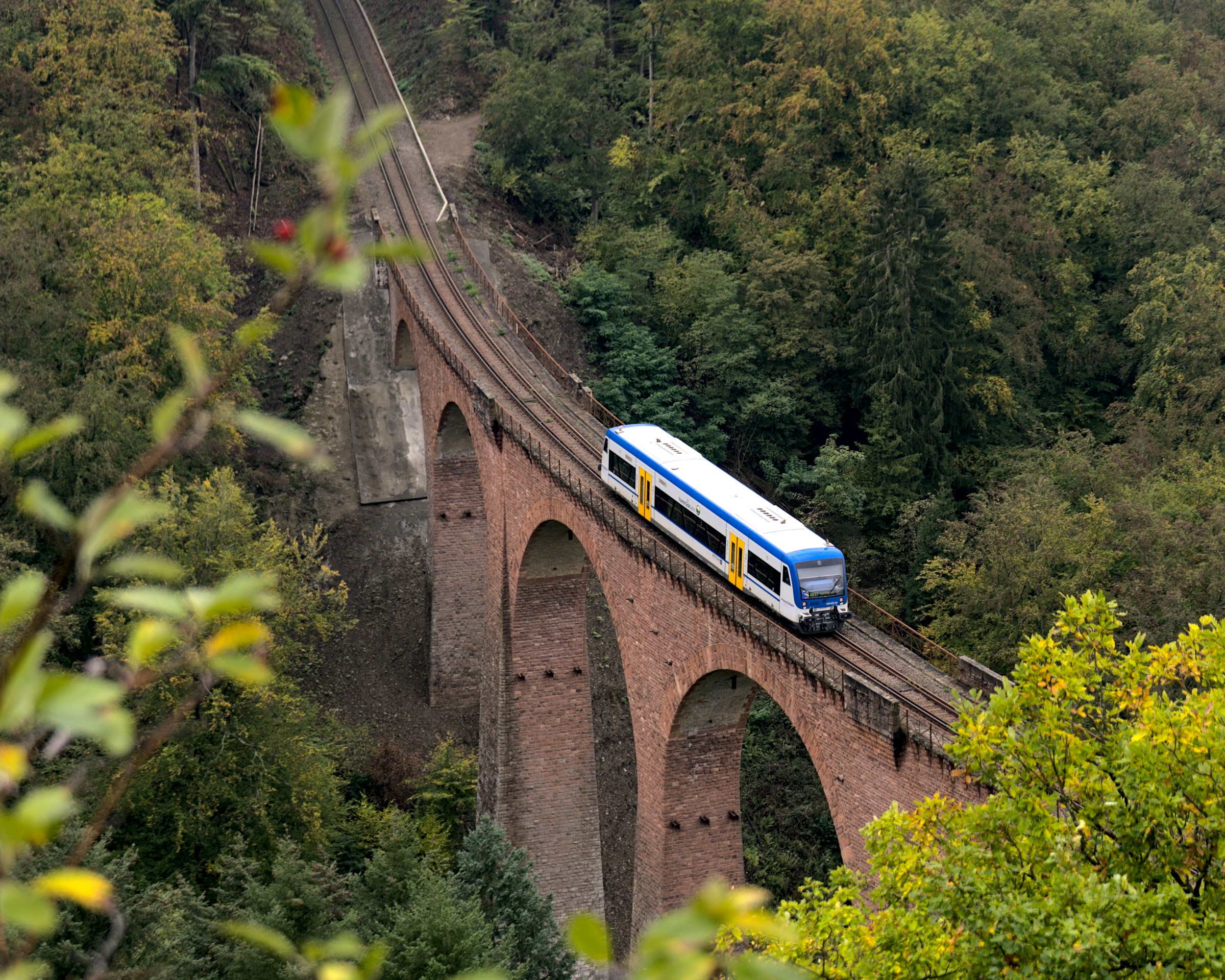 Wanderung vom Hunsrück nach Boppard