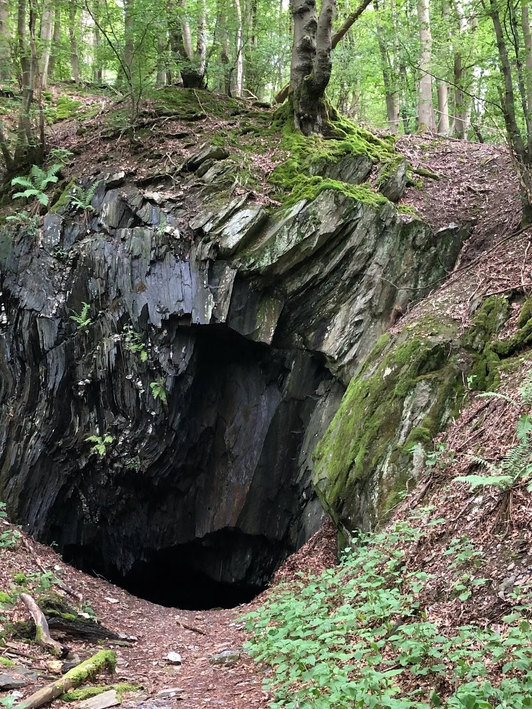 Rheinhöhentour St. Quintin