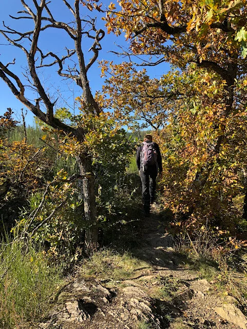 Traumschleife Baybachklamm